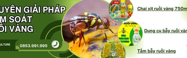 Chuyên Giải Pháp Kiểm Soát Ruồi Vàng - MiMo Agriculture