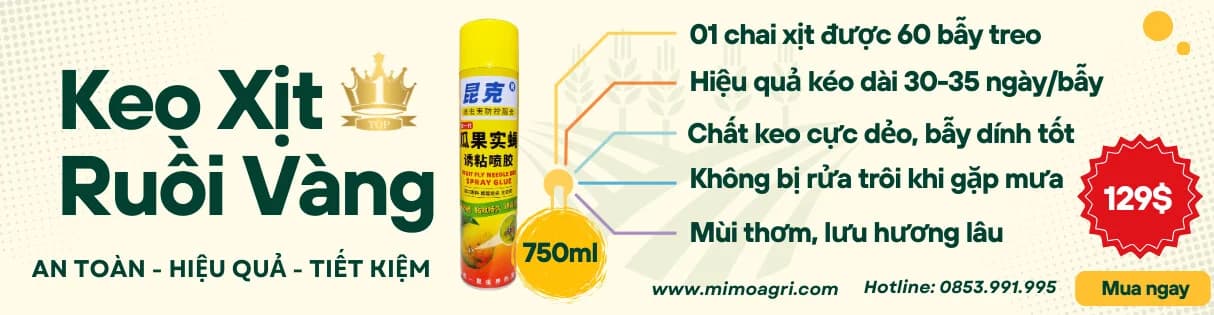 Keo Xịt Ruồi Vàng - An Toàn, Hiệu Quả, Tiết Kiệm